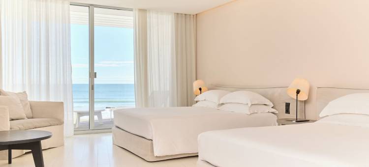 海滩宫酒店(Hôtel Plage Palace & Spa)图片