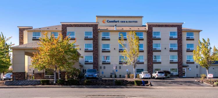 舒适套房酒店(Comfort Inn & Suites Salem)图片