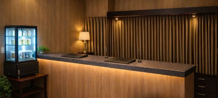 厚木城市酒店(Atsugi City Hotel)图片