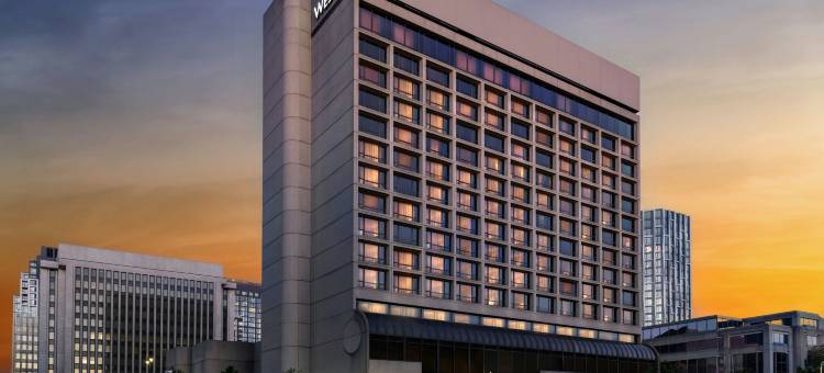 威斯汀水晶市雷根国家机场酒店(The Westin Crystal City Reagan National Airport)图片