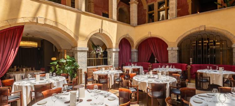 里昂庭院酒店 - 丽笙精选奢华酒店(Cour des Loges Lyon, A Radisson Collection Hotel)图片