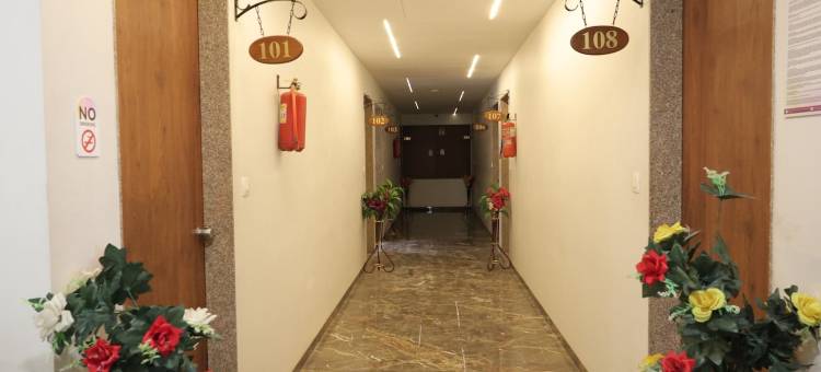 兰戈利达兰普尔酒店(Hotel Rangoli Dharampur)图片