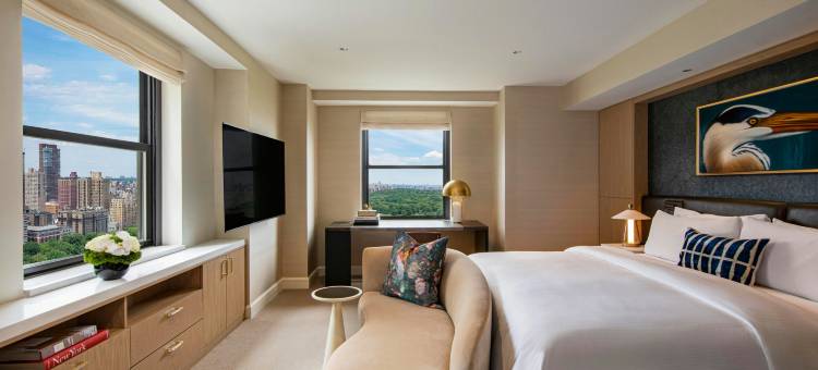 纽约艾塞克斯豪斯JW 万豪酒店(JW Marriott Essex House New York)图片