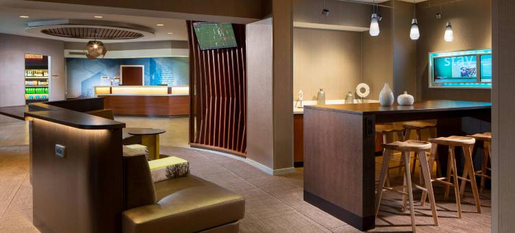 芝加哥林肯郡SpringHill Suites酒店(SpringHill Suites Chicago Lincolnshire)图片