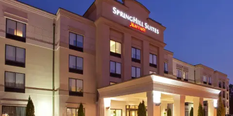 韋斯特切斯特縣塔雷城SpringHill Suites酒店