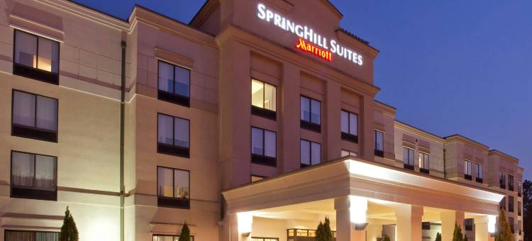 韦斯特切斯特县塔雷城SpringHill Suites酒店(SpringHill Suites Tarrytown Westchester County)图片