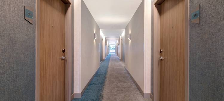 蒙特娄多瓦尔希尔顿惠庭酒店(Home2 Suites by Hilton Montreal Dorval)图片