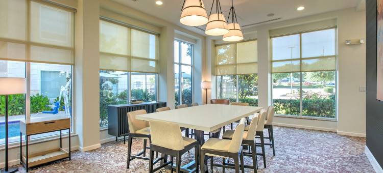 达拉斯阿林顿希尔顿花园酒店(Hilton Garden Inn Dallas/Arlington)图片