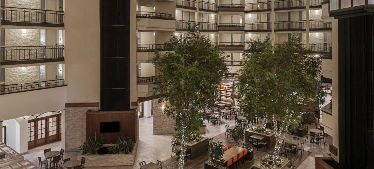 纳什维尔机场希尔顿安泊套房酒店(Embassy Suites by Hilton Nashville Airport)图片