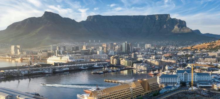 开普敦艾迪逊酒店(The Cape Town EDITION)图片