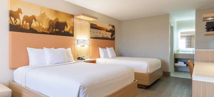 格兰伯里戴斯酒店(Days Inn by Wyndham Granbury)图片
