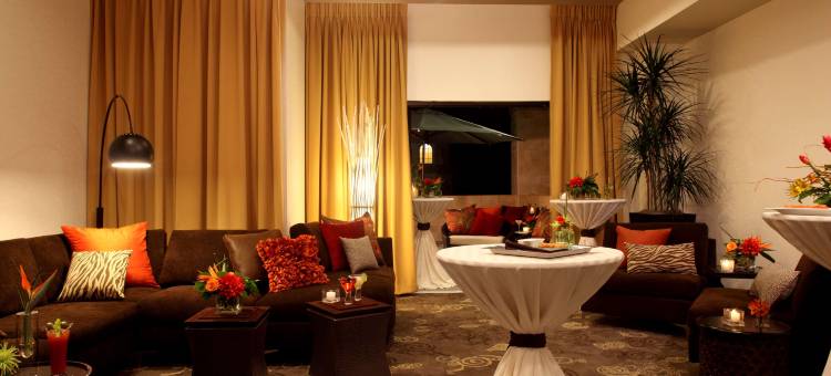 伍德兰斯凯悦尚萃酒店(Hyatt Centric the Woodlands)图片