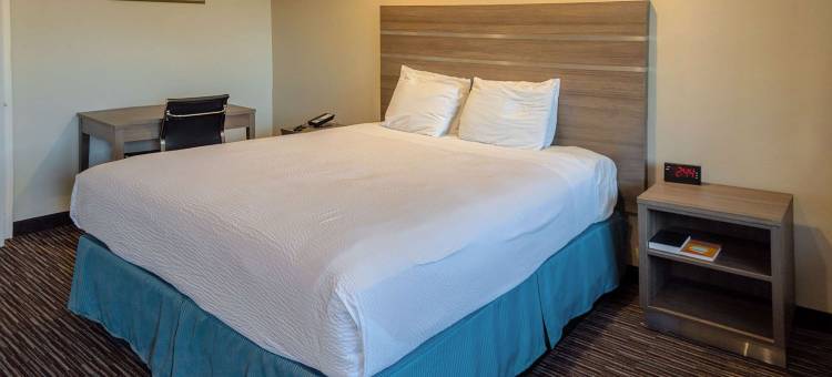 罗德威酒店-靠近大学-通往优胜美地(Rodeway Inn Near University-Gateway to Yosemite)图片