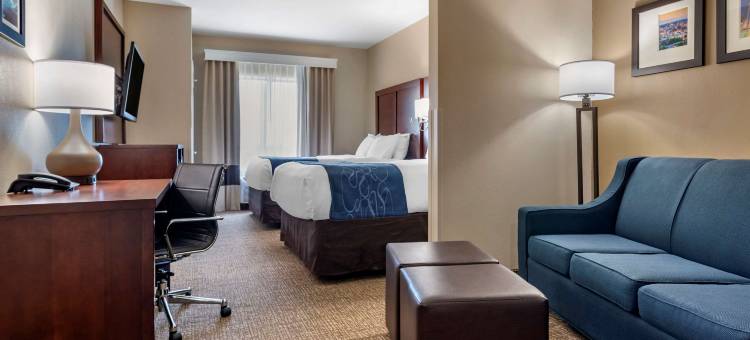 佩尔城靠近洛根马丁湖的康福特套房(Comfort Suites Pell City Near Logan Martin Lake)图片