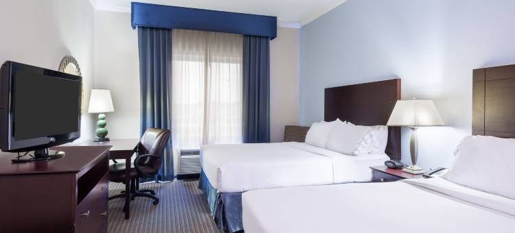 智选假日套房酒店新伊比利亚 - 艾利岛(Holiday Inn Express & Suites New Iberia-Avery Island)图片