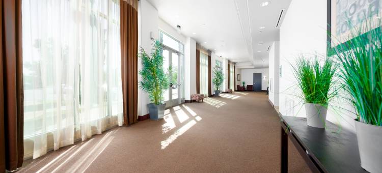 Holiday Inn 寺贝尔顿(Holiday Inn Temple-Belton)图片