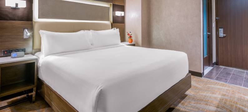 布鲁克林市中心假日酒店(Holiday Inn BROOKLYN DOWNTOWN by IHG)图片