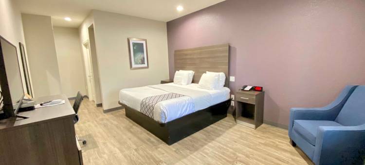 Best Western 艾达的SureStay Plus酒店(SureStay Plus Hotel by Best Western Ada)图片