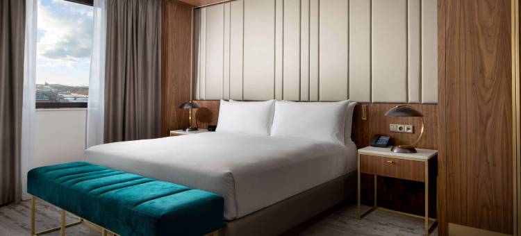 布拉格希尔顿酒店(Hilton Prague Hotel)图片