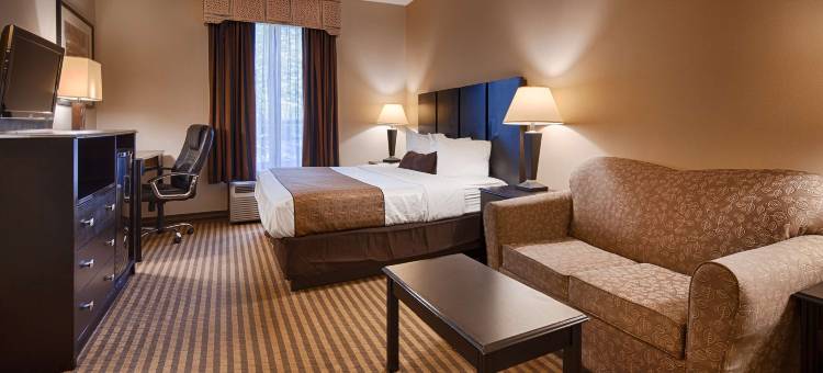 敦刻尔克&弗利多尼亚贝斯特韦斯特优质酒店(Best Western Dunkirk  Fredonia Inn)图片