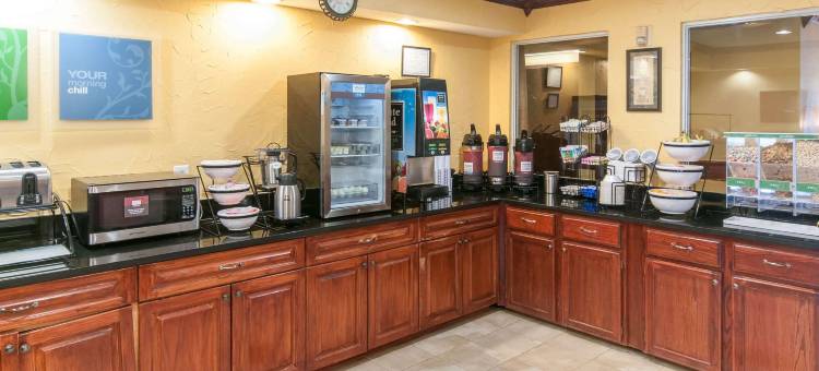 舒适酒店(Comfort Inn North Conroe)图片