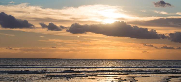 红多兹Plus酒店-近贾兰伊玛目邦约尔登巴萨(RedDoorz Plus Near Jalan Imam Bonjol Denpasar)图片