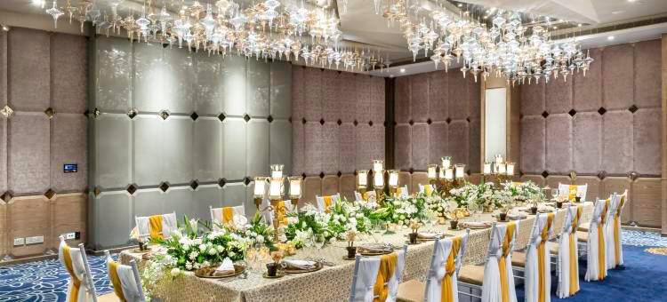 波泰尔的塔吉湖畔(Taj Lakefront Bhopal)图片