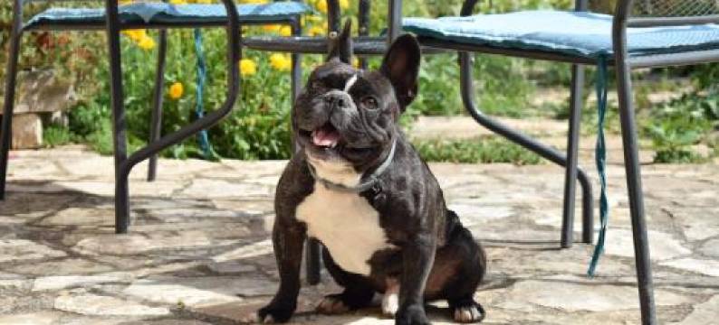 Matanovi Dvori-Krka National Park图片