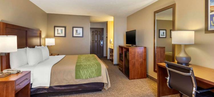 埃尔森特罗8号州际公路舒适套房酒店(Comfort Inn & Suites El Centro I-8)图片