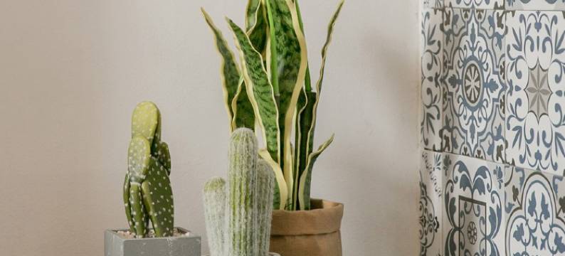 七上民宿(天旋巷分店)图片