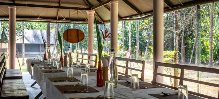 Amritara河边豪华帐篷(Amritara Riverside Camp)图片