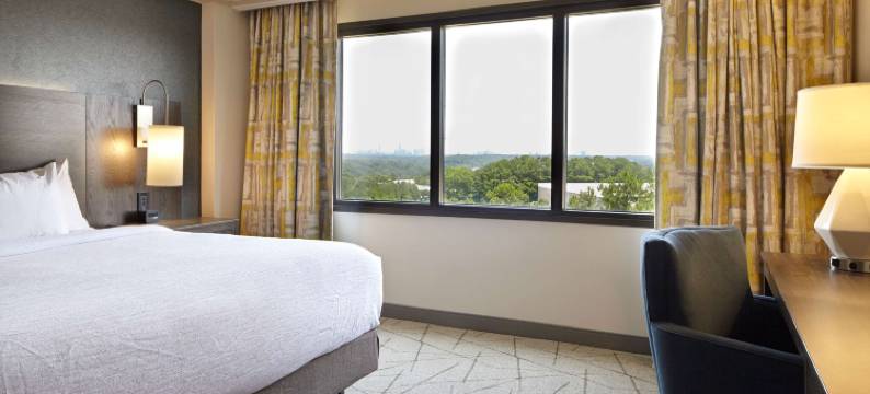 亚特兰大加勒里亚希尔顿安泊酒店(Embassy Suites by Hilton Atlanta Galleria)图片