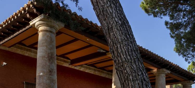 帕拉多托德西亚斯酒店(Parador de Tordesillas)图片