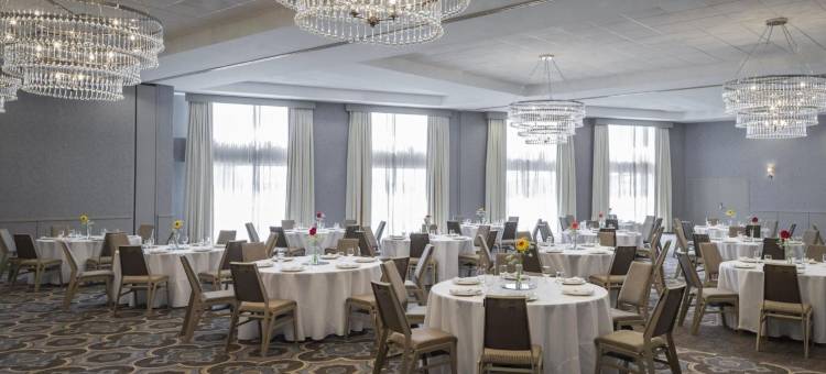 梅泰里新奥尔良喜来登酒店(Sheraton Metairie - New Orleans Hotel)图片