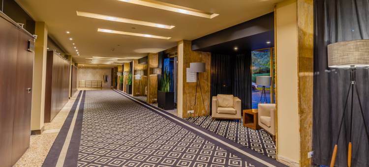 InterContinental Hotels 麦德林(InterContinental Hotels Medellin - Movich)图片