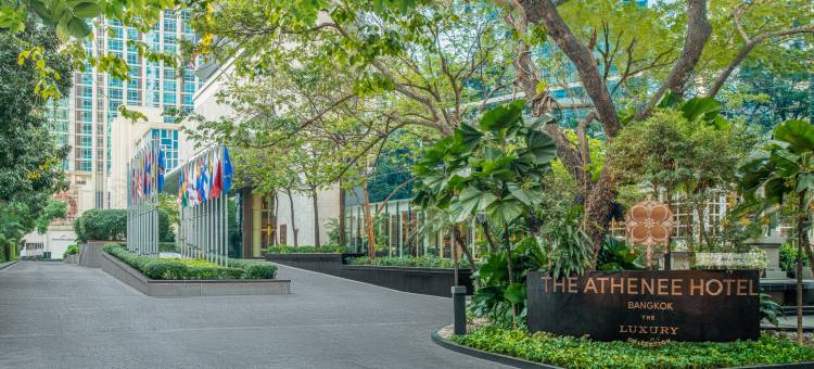 曼谷雅典娜豪华精选酒店(The Athenee Hotel, a Luxury Collection Hotel, Bangkok)图片