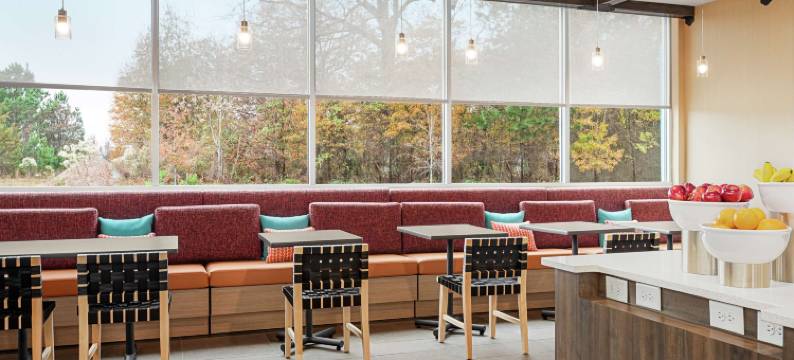 格林维尔伍德拉夫路希尔顿Tru酒店(Tru by Hilton Greenville Woodruff Road)图片