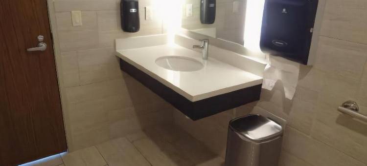 奥本市中心智选假日套房酒店(Holiday Inn Express & Suites Auburn Downtown)图片