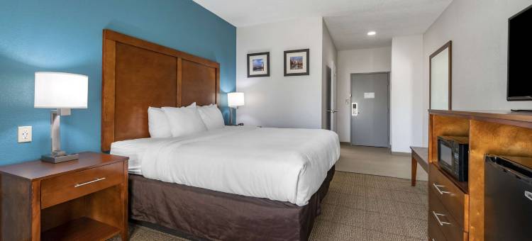舒适酒店-普莱恩菲尔德-印第安纳波利斯机场(Comfort Inn Plainfield - Indianapolis Airport)图片
