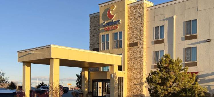 舒适套房酒店-法明顿(Comfort Suites Farmington)图片