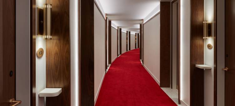 JFK机场TWA酒店(Twa Hotel at JFK Airport)图片