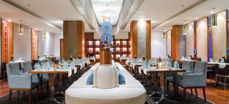 大诺伊达区丽笙酒店(Radisson Blu Hotel Greater Noida)图片