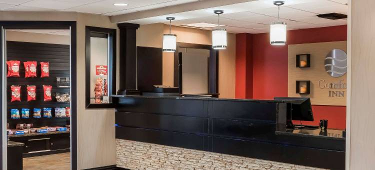 舒适酒店-波科诺山区(Comfort Inn - Pocono Mountains)图片