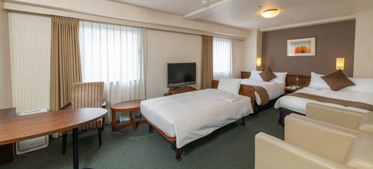 Alpico广场酒店(Alpico Plaza Hotel)图片