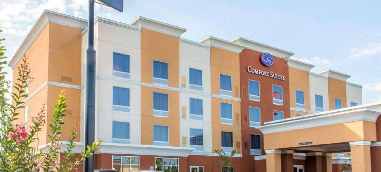 东部舒适套房酒店(Comfort Suites East)图片