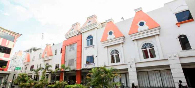 萨布里纳城市酒店(Sabrina Paninsula Hotel Pekanbaru)图片