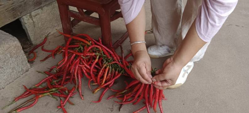 房东小湾湾度假别墅(芙蓉路分店)图片