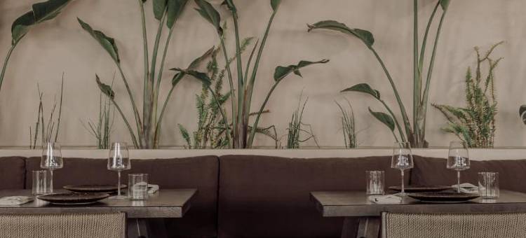 Casa Cook Samos 凯撒库克萨摩斯(Casa Cook Samos - Adults Only)图片