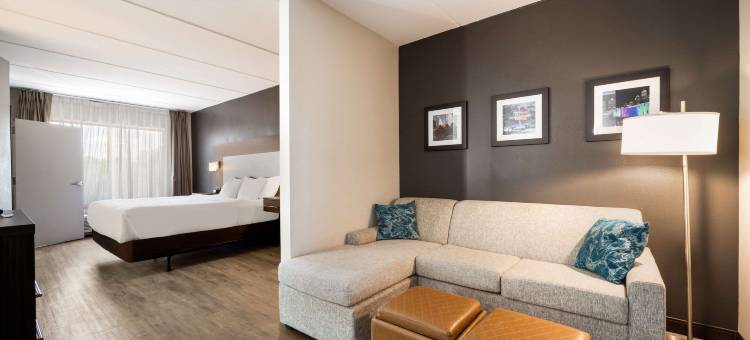 北湖舒适套房酒店(Comfort Suites Northlake)图片