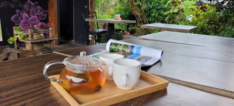 新北三才灵芝农场民宿图片